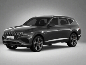 GENSIS GV80 WINTER PACKAGE