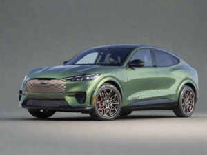 Ford Mustang Mach-E Winter Package