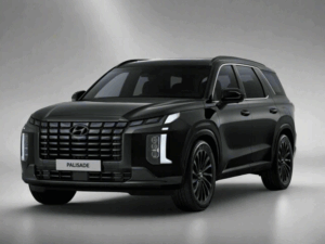 Hyundai Palisade Winter Package