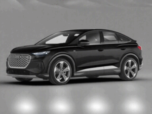 Audi Q4 E-Tron 2022+ Winter Package