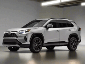 Toyota RAV4 Winter Package