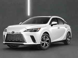 Lexus RX 2023+ Winter Package