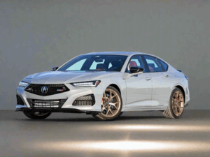 Acura TLX Winter Package