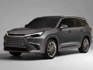 Lexus TX Winter Package