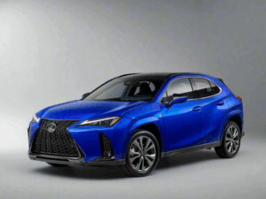 Lexus UX Winter Package
