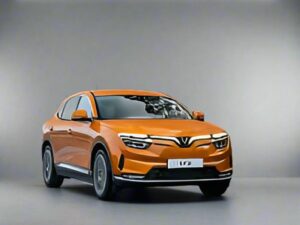 Vinfast VF8 Winter Package