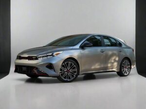 Kia Forte Winter Package