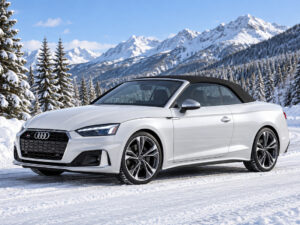 2009–2024 Audi S5